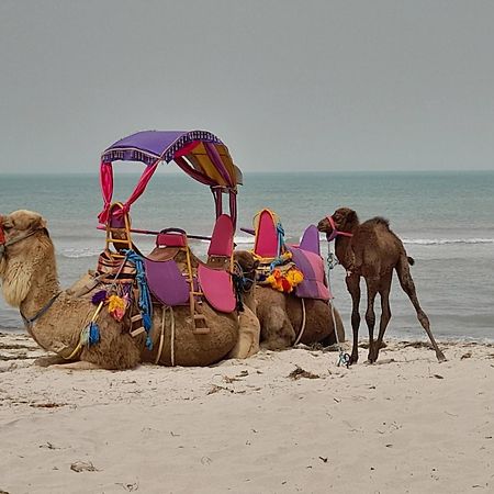 فندق Dar El Kahina Djerba مزرايا المظهر الخارجي الصورة